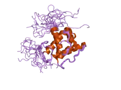 1wym: Solution structure of the CH domain of human transgelin-2