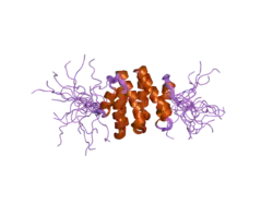 1x5b: The solution structure of the VHS domain of human Signal transducing adaptor molecule 2