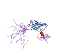 1x5m: Solution structure of the core domain of calcyclin binding protein; siah-interacting protein (SIP)