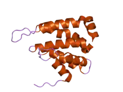 1xgw: The crystal structure of human enthoprotin N-terminal domain