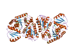 1xm2: Crystal structure of Human PRL-1