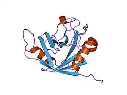 1xyh: Crystal Structure of Recombinant Human Cyclophilin J