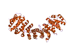 1y2a: Structure of mammalian importin bound to the non-classical PLSCR1-NLS