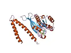 1yhn: Structure basis of RILP recruitment by Rab7