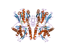 1yk0: structure of natriuretic peptide receptor-C complexed with atrial natriuretic peptide