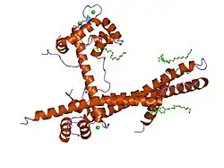 1ytz: Crystal structure of skeletal muscle troponin in the Ca2+-activated state