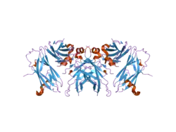 1z9o: 1.9 Angstrom Crystal Structure of the Rat VAP-A MSP Homology Domain in Complex with the Rat ORP1 FFAT Motif