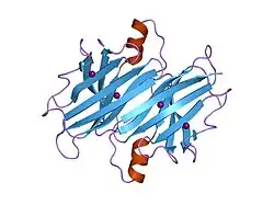 1zcr: Crystal structure of human Transthyretin with bound iodide
