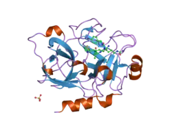 1zom: Crystal Structure of the Catalytic Domain of Coagulation Factor XI in complex with a peptidomimetic Inhibitor