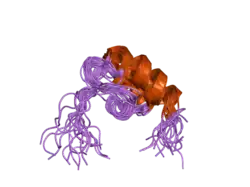 1zwv: Solution Structure of the subunit binding domain (hbSBD) of the human mitochondrial branched-chain alpha-ketoacid dehydrogenase