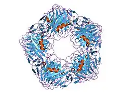 2a3x: Decameric crystal structure of human serum amyloid P-component bound to Bis-1,2-{[(Z)-2carboxy- 2-methyl-1,3-dioxane]- 5-yloxycarbonyl}-piperazine