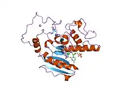 2a8w: Crystal Structure of Human N-acetylgalactosaminyltransferase (GTA) Complexed with Beta-Methyllactoside