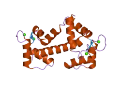 2bcx: Crystal structure of calmodulin in complex with a ryanodine receptor peptide