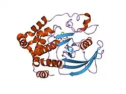 2bge: STRUCTURE-BASED DESIGN OF PROTEIN TYROSINE PHOSPHATASE-1B INHIBITORS