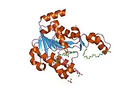 2bka: CC3(TIP30) crystal structure