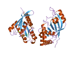 2bov: MOLECULAR RECOGNITION OF AN ADP-RIBOSYLATING CLOSTRIDIUM BOTULINUM C3 EXOENZYME BY RALA GTPASE