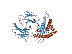2bvp: STRUCTURES OF THREE HIV-1 HLA-B5703-PEPTIDE COMPLEXES AND IDENTIFICATION OF RELATED HLAS POTENTIALLY ASSOCIATED WITH LONG-TERM NON-PROGRESSION