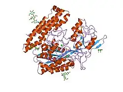 2c6p: MEMBRANE-BOUND GLUTAMATE CARBOXYPEPTIDASE II (GCPII) IN COMPLEX WITH PHOSPHATE ANION