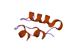 2c8r: INSULINE(60SEC) AND UV LASER EXCITED FLUORESCENCE