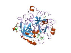 2c93: THROMBIN INHIBITORS