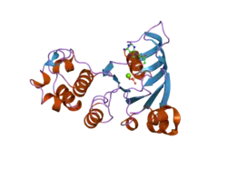 2cbz: STRUCTURE OF THE HUMAN MULTIDRUG RESISTANCE PROTEIN 1 NUCLEOTIDE BINDING DOMAIN 1