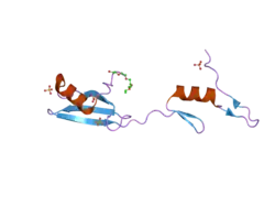 2ci8: SH2 DOMAIN OF HUMAN NCK1 ADAPTOR PROTEIN - UNCOMPLEXED