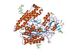 2cij: MEMBRANE-BOUND GLUTAMATE CARBOXYPEPTIDASE II (GCPII) WITH BOUND METHIONINE