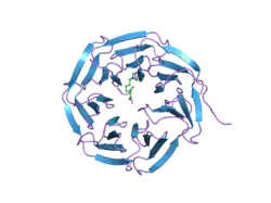 2cnx: WDR5 AND HISTONE H3 LYSINE 4 DIMETHYL COMPLEX AT 2.1 ANGSTROM