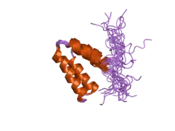 2cr7: Solution structure of the first PAH domain of the mouse transcriptional repressor SIN3B