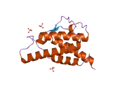 2d48: Crystal structure of the Interleukin-4 variant T13D