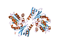 2d4q: Crystal structure of the Sec-PH domain of the human neurofibromatosis type 1 protein