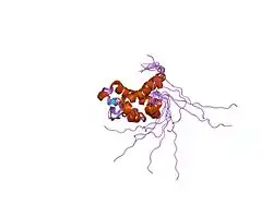 2d5u: Solution structure of the N-terminal portion of the PUB domain of mouse peptide:N-glycanase