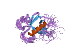 2d9z: Solution structure of the PH domain of Protein kinase C, nu type from human