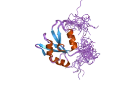 2db1: Solution structure of the RNA binding domain in heterogeneous nuclear ribonucleoprotein F homolog