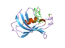 2dg4: FK506-binding protein mutant WF59 complexed with Rapamycin