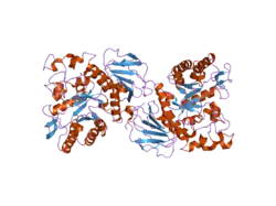 2dh3: Crystal Structure of human ED-4F2hc