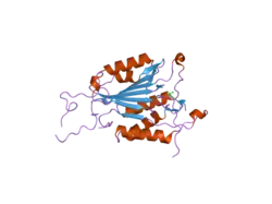 2dko: Extended substrate recognition in caspase-3 revealed by high resolution X-ray structure analysis