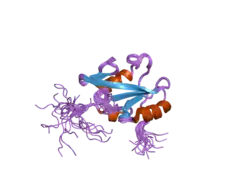 2dlz: Solution structure of the SH2 domain of human protein vav-2