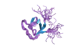 2dmo: Refined solution structure of the 1st SH3 domain from human Neutrophil cytosol factor 2 (NCF-2)