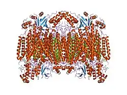 2ein: Zinc ion binding structure of bovine heart cytochrome C oxidase in the fully oxidized state