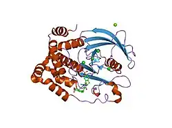 2f71: Protein tyrosine phosphatase 1B with sulfamic acid inhibitors