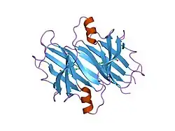 2f7i: Human transthyretin (TTR) complexed with diflunisal analogues- TTR. 2',6'-Difluorobiphenyl-4-carboxylic Acid