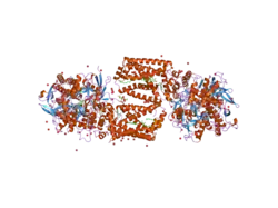 2fbw: Avian respiratory complex II with carboxin bound