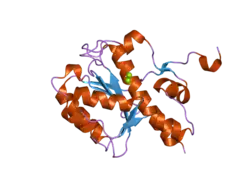 2fbx: WRN exonuclease, Mg complex