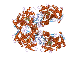 2fdv: Microsomal P450 2A6 with the inhibitor N-Methyl(5-(pyridin-3-yl)furan-2-yl)methanamine bound