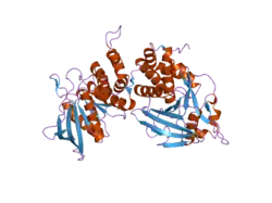 2fh7: Crystal structure of the phosphatase domains of human PTP SIGMA