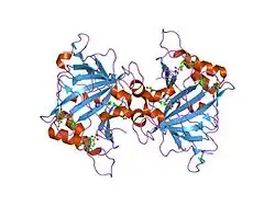 2foy: Human Carbonic Anhydrase I complexed with a two-prong inhibitor