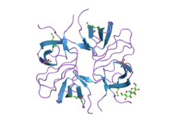 2fpd: Sad structure determination: crystal structure of the intrinsic dimerization sh3 domain of the ib1 scaffold protein