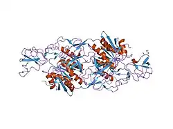 2fu3: Crystal structure of gephyrin E-domain