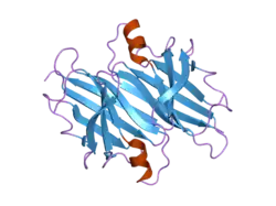 2g4e: Crystal structure of transthyretin mutant I84A at neutral pH